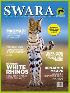 Swara - 04/06 2023