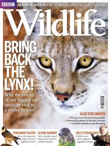 BBC Wildlife - 04.2012