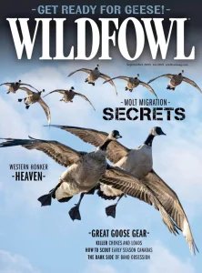 Wildfowl - 09.2025