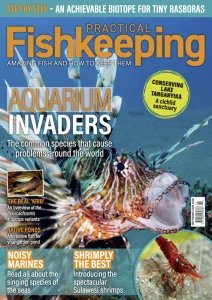 Practical Fishkeeping - 09.2025