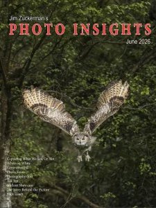 Photo Insights - 06.2026